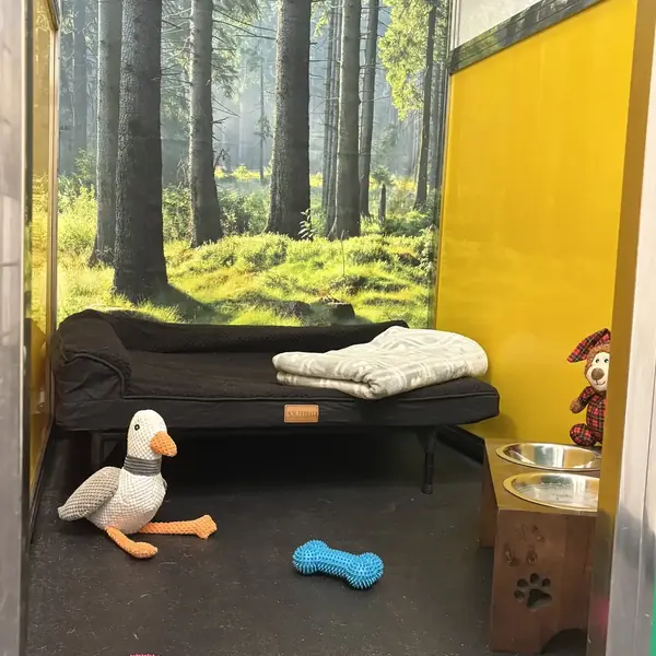 Comfortable overnight boarding suite at K9 Rox Club
